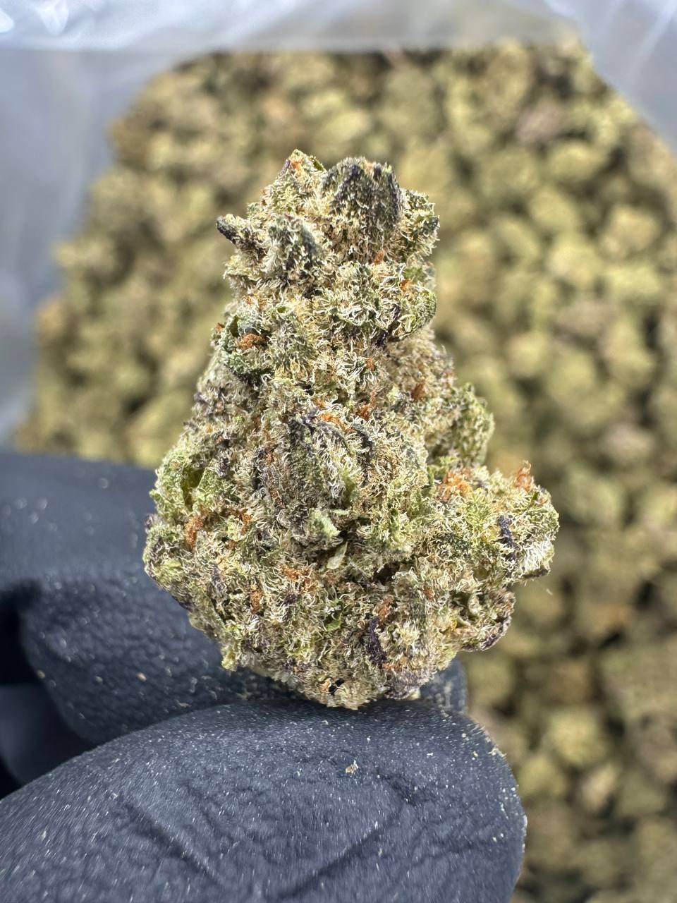 Italian Ice - THCA Flower - Greenhouse Gold Nuggets