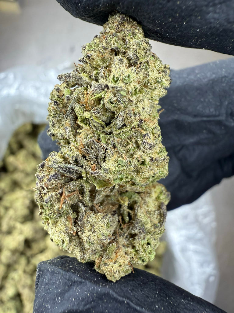 Hash Burger - THCA BULK FLOWER - CLASSIC RESERVE