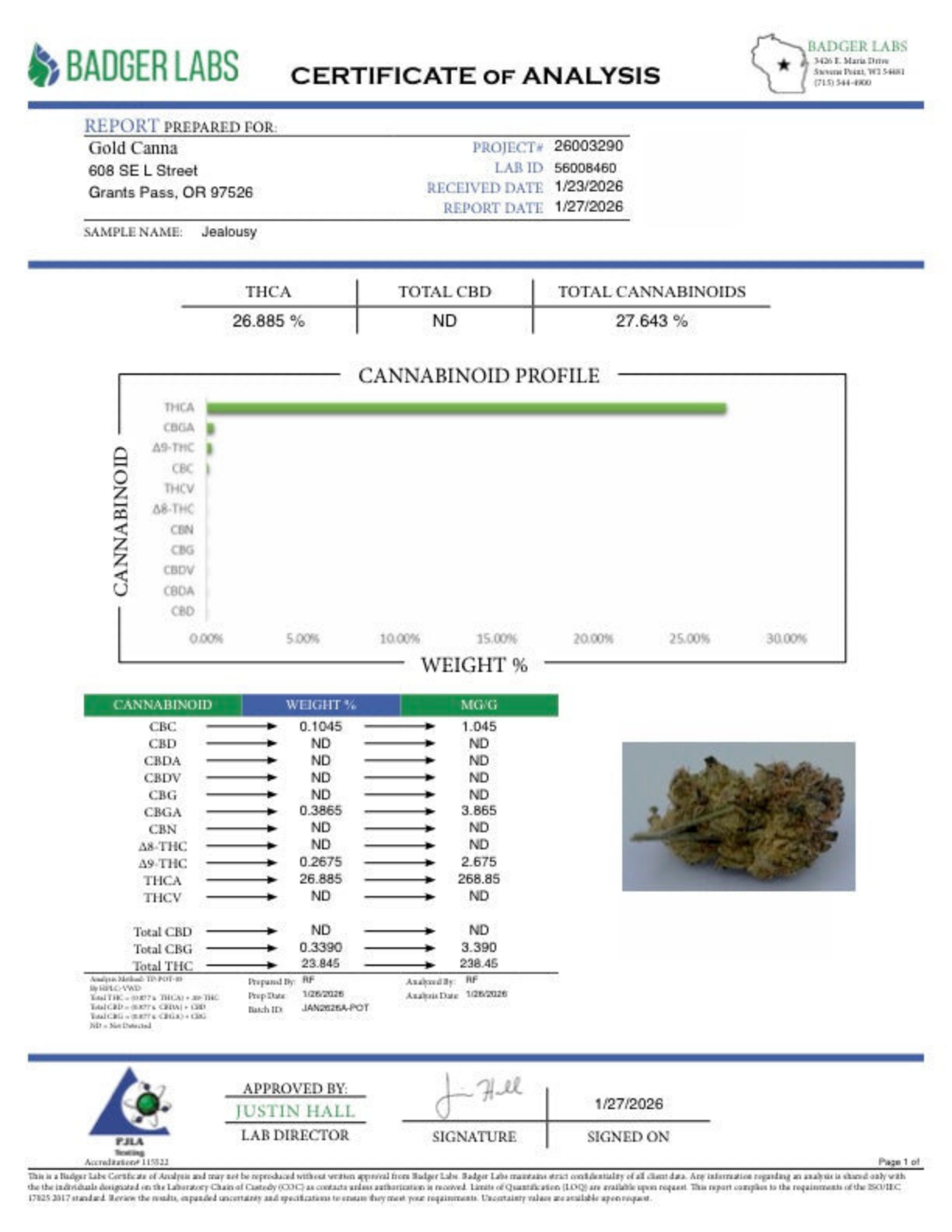 Jealousy - THCA Flower - Greenhouse Gold Nuggets
