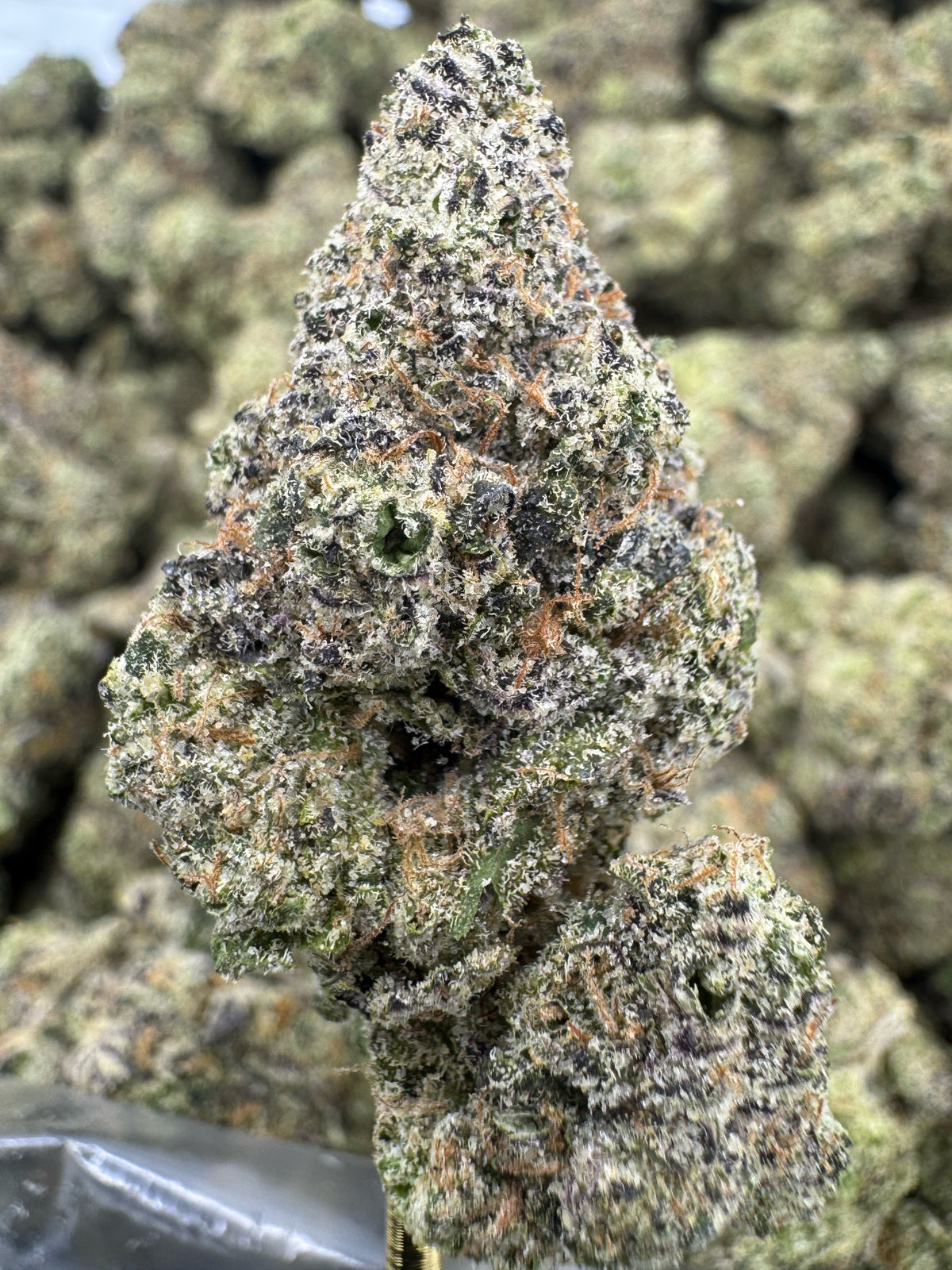 Jealousy - THCA BULK Flower - Indoor Exotic