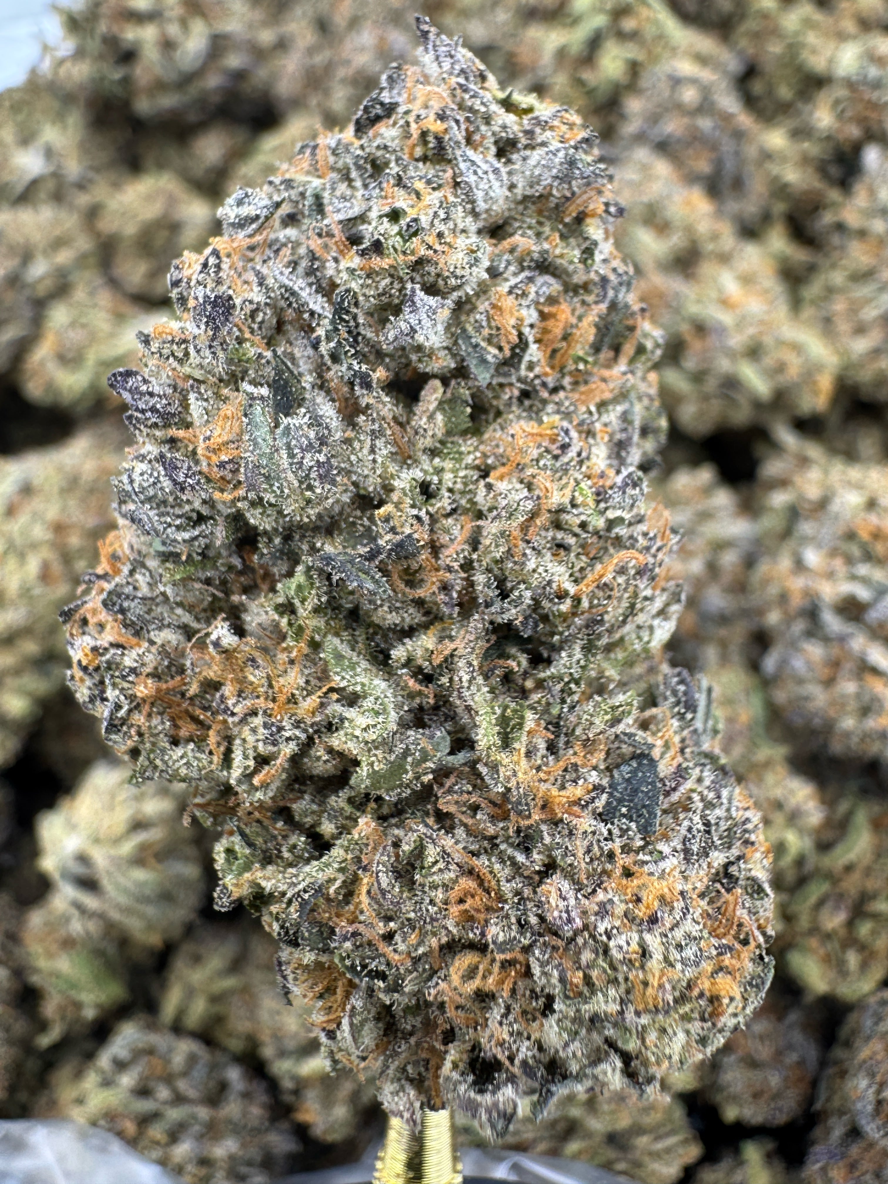 Jealousy - THCA BULK Flower - Indoor