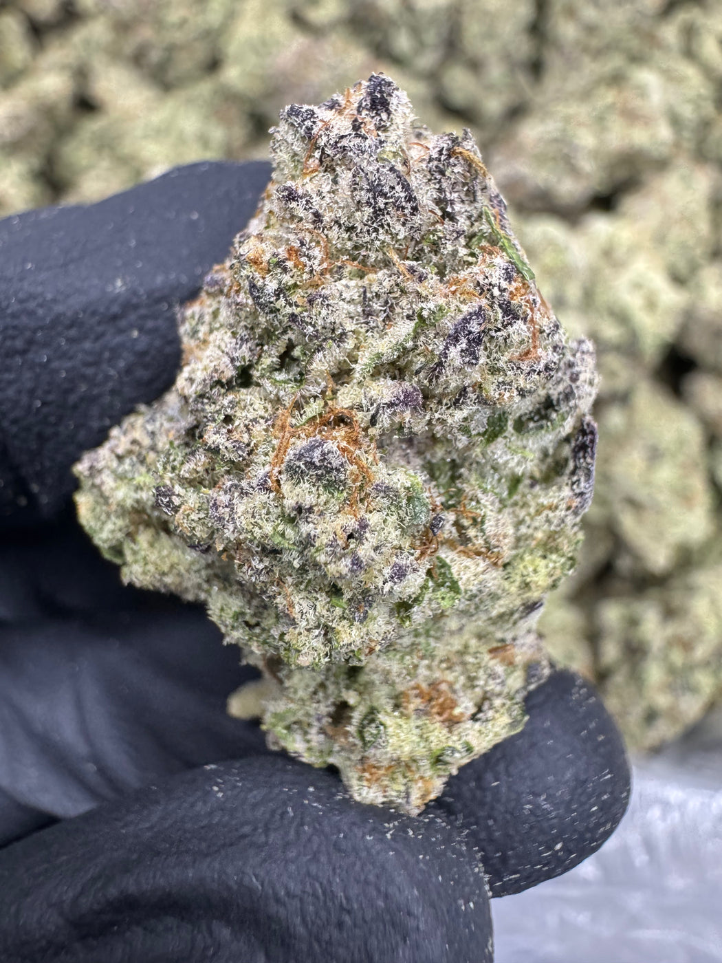 Jelly Breath - THCA FLOWER - EXOTIC INDOOR
