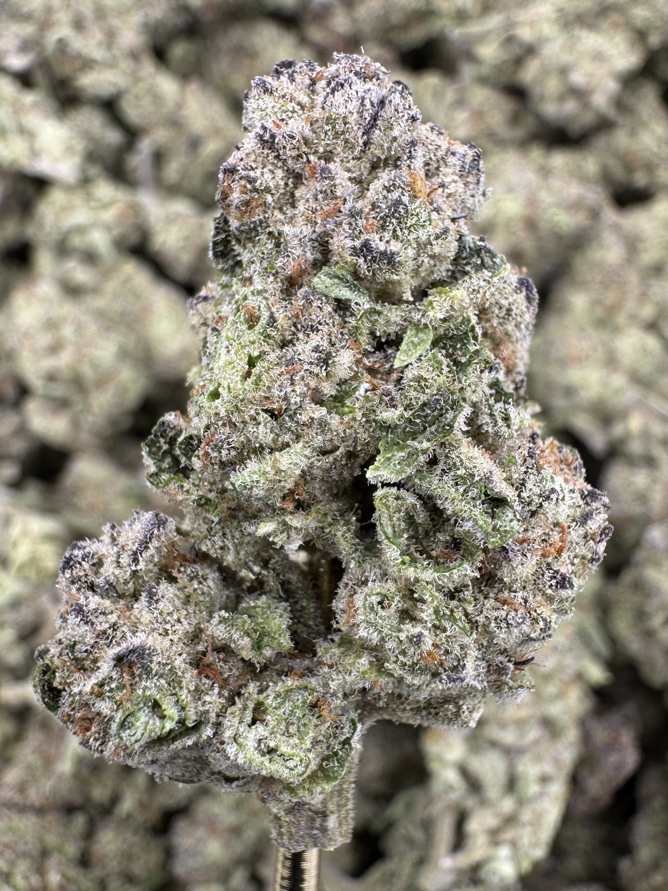 Jelly Breathe - THCA BULK Flower - Greenhouse