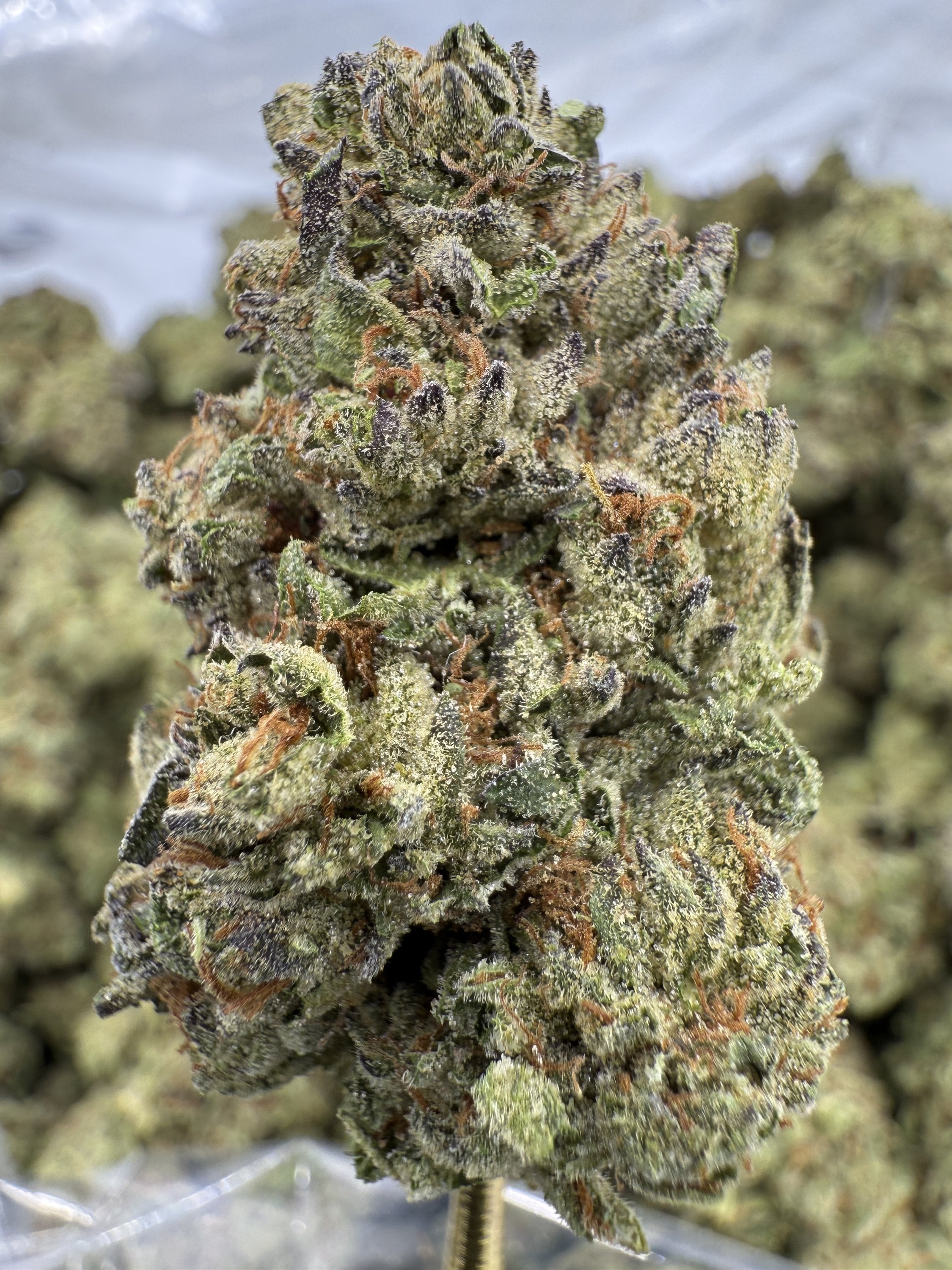 Jelly Roll - THCA BULK Flower - Greenhouse