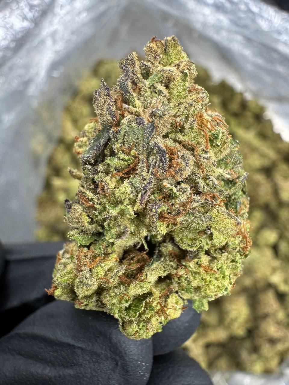 Jet Fuel - THCA BULK Flower - Sungrown