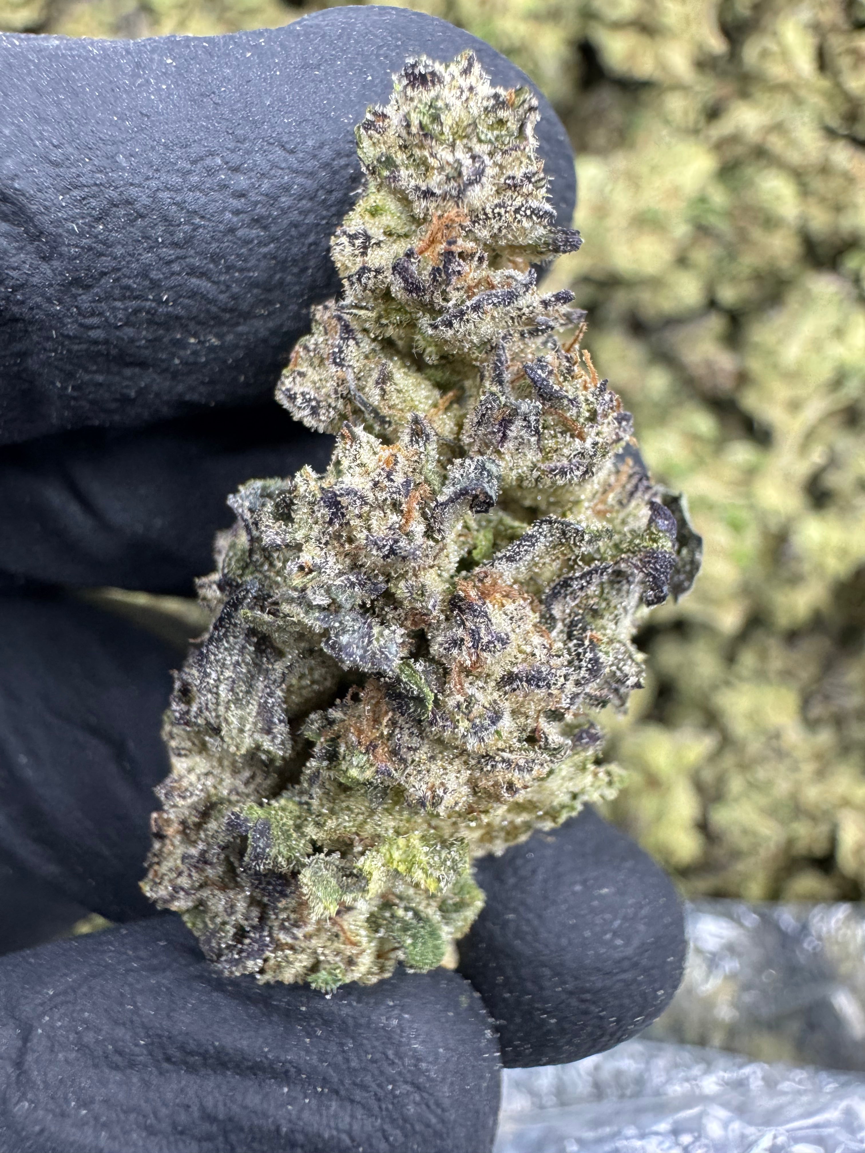 Jiffy Cake - THCA Flower - Greenhouse Top Cut