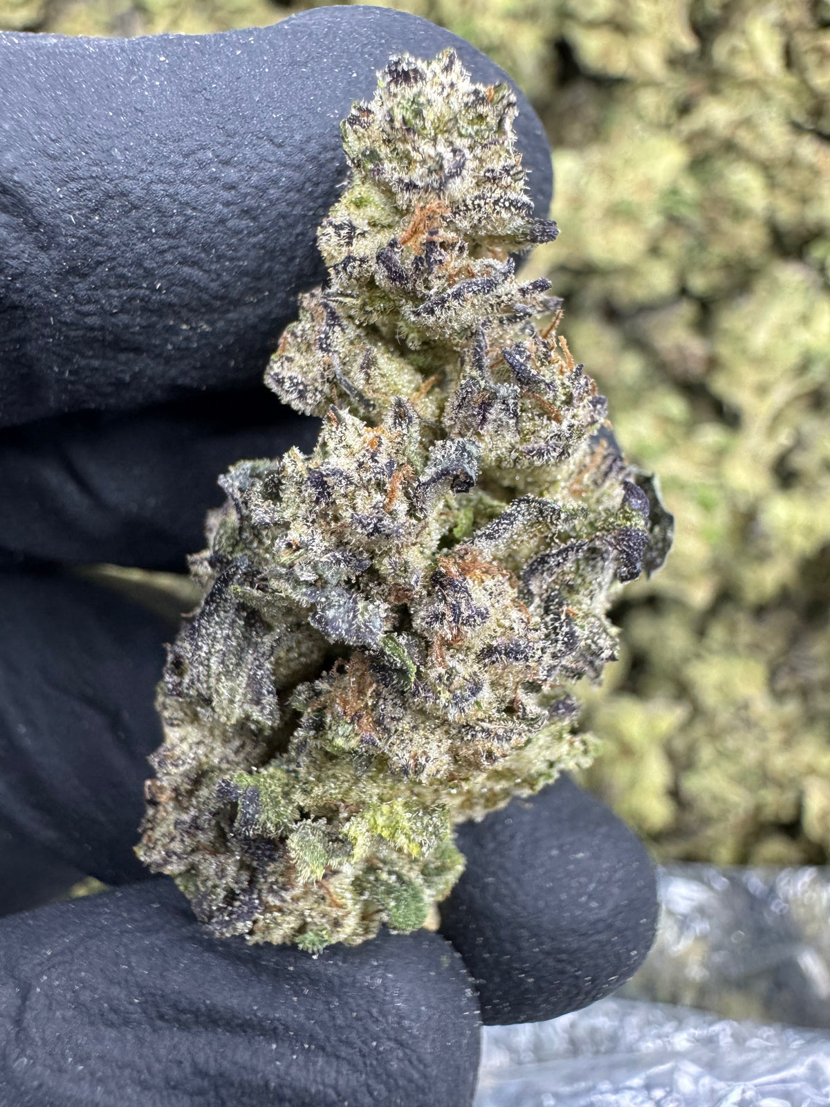 Jiffy Cake - THCA Flower - Greenhouse Top Cut