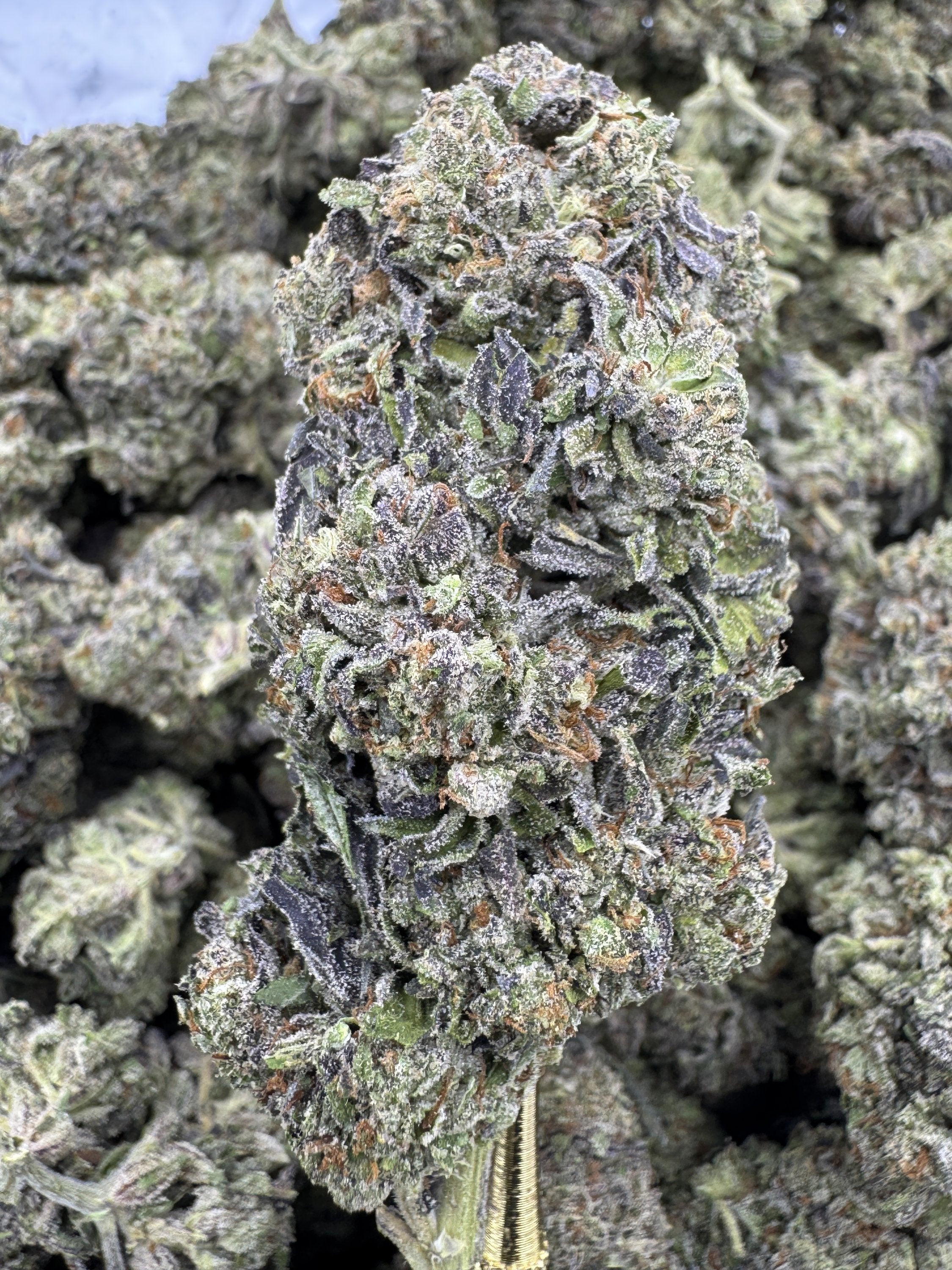 Jokerz - THCA BULK Flower - Greenhouse