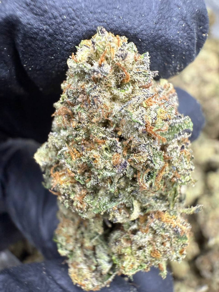 Jokerz - THCA BULK FLOWER - TOP SHELF