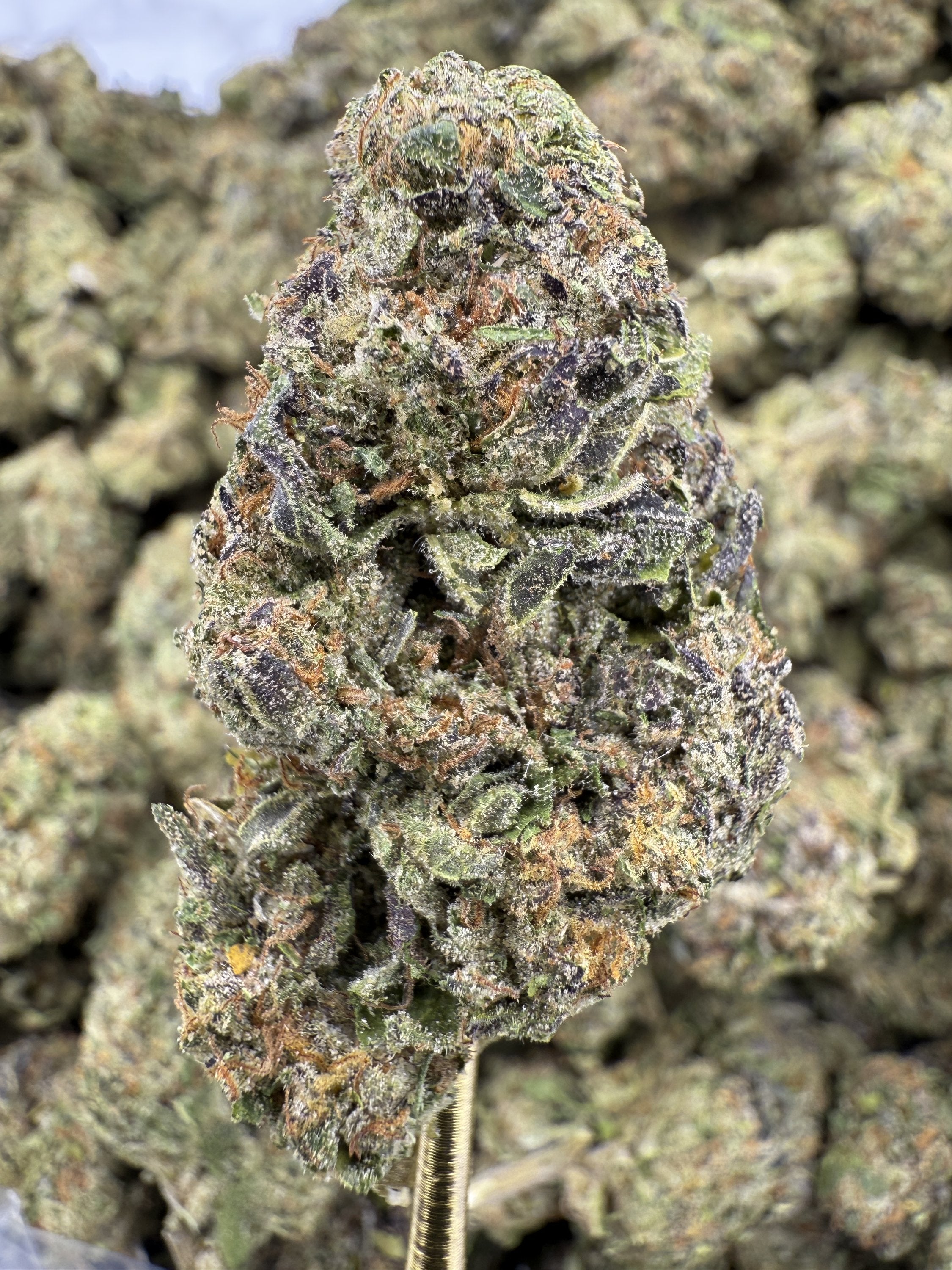 Junglato - THCA BULK Flower - Greenhouse