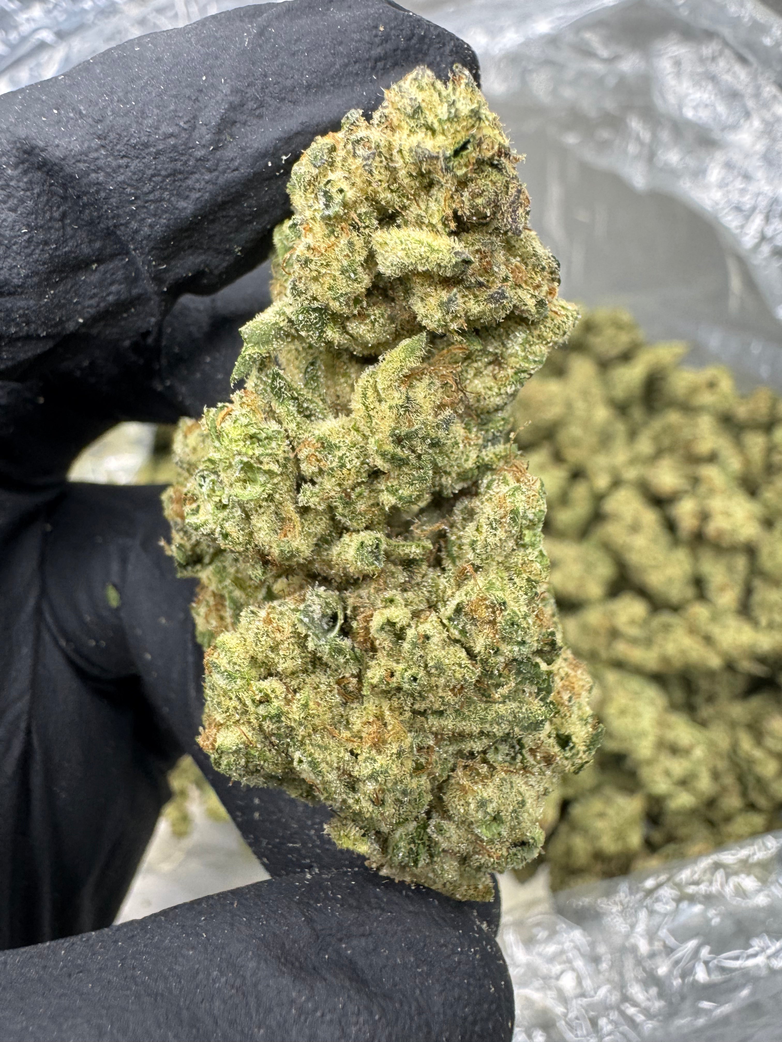 Jungle Pie - THCA Flower - Indoor Top Cut