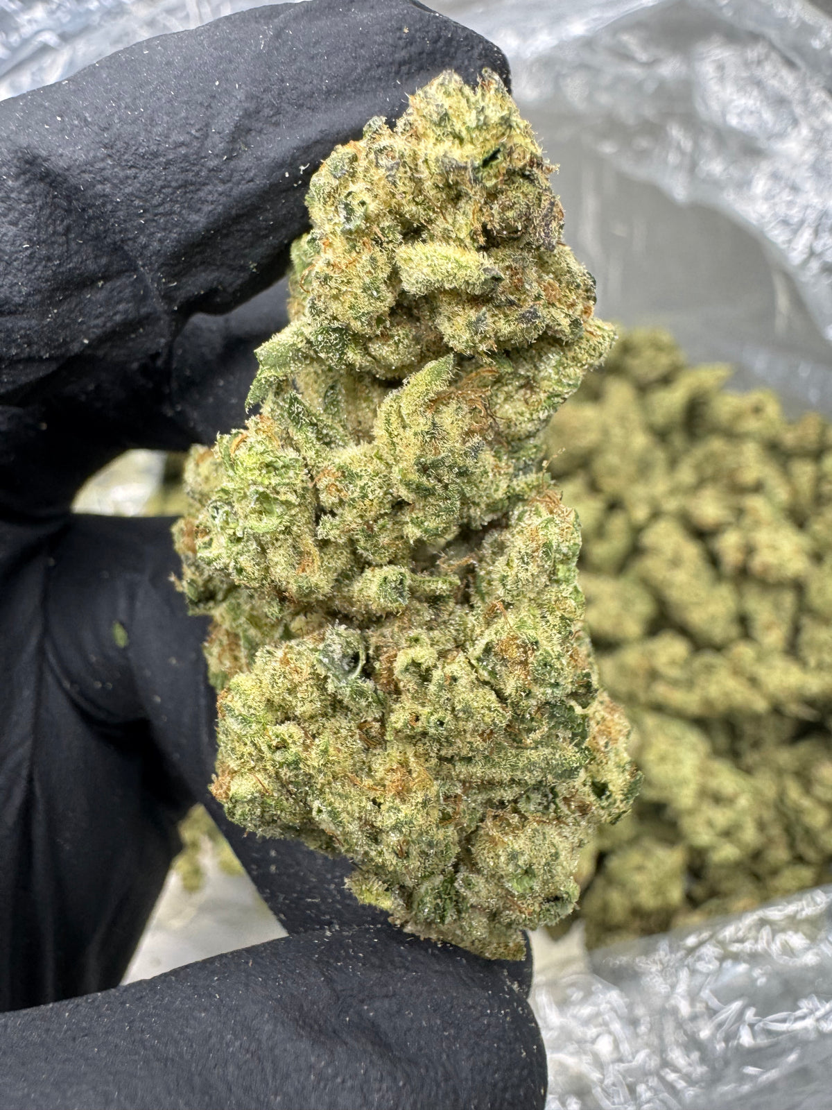 Jungle Pie - THCA Flower - Indoor Top Cut
