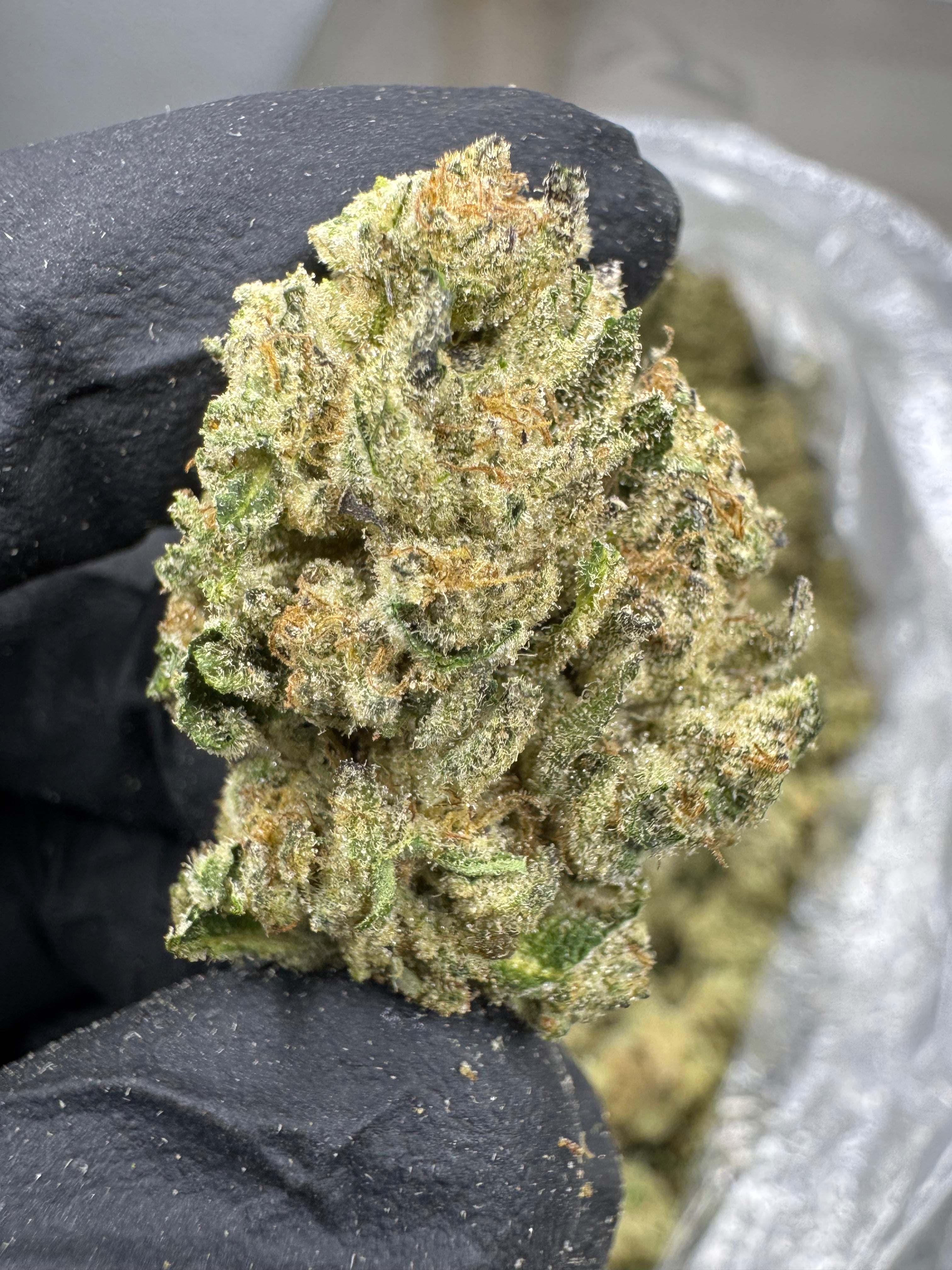 Jungle Pie - THCA Flower - Greenhouse Top Cut