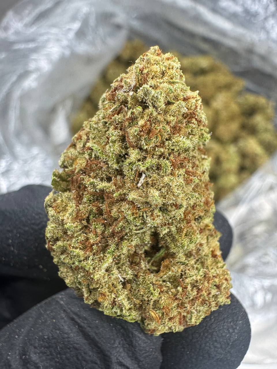 Key Lime Pie - THCA BULK FLOWER - TOP SHELF