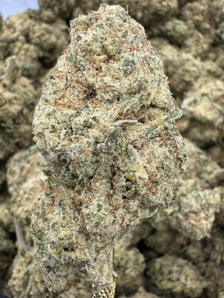 King Louie OG - THCP BULK Flower - Greenhouse