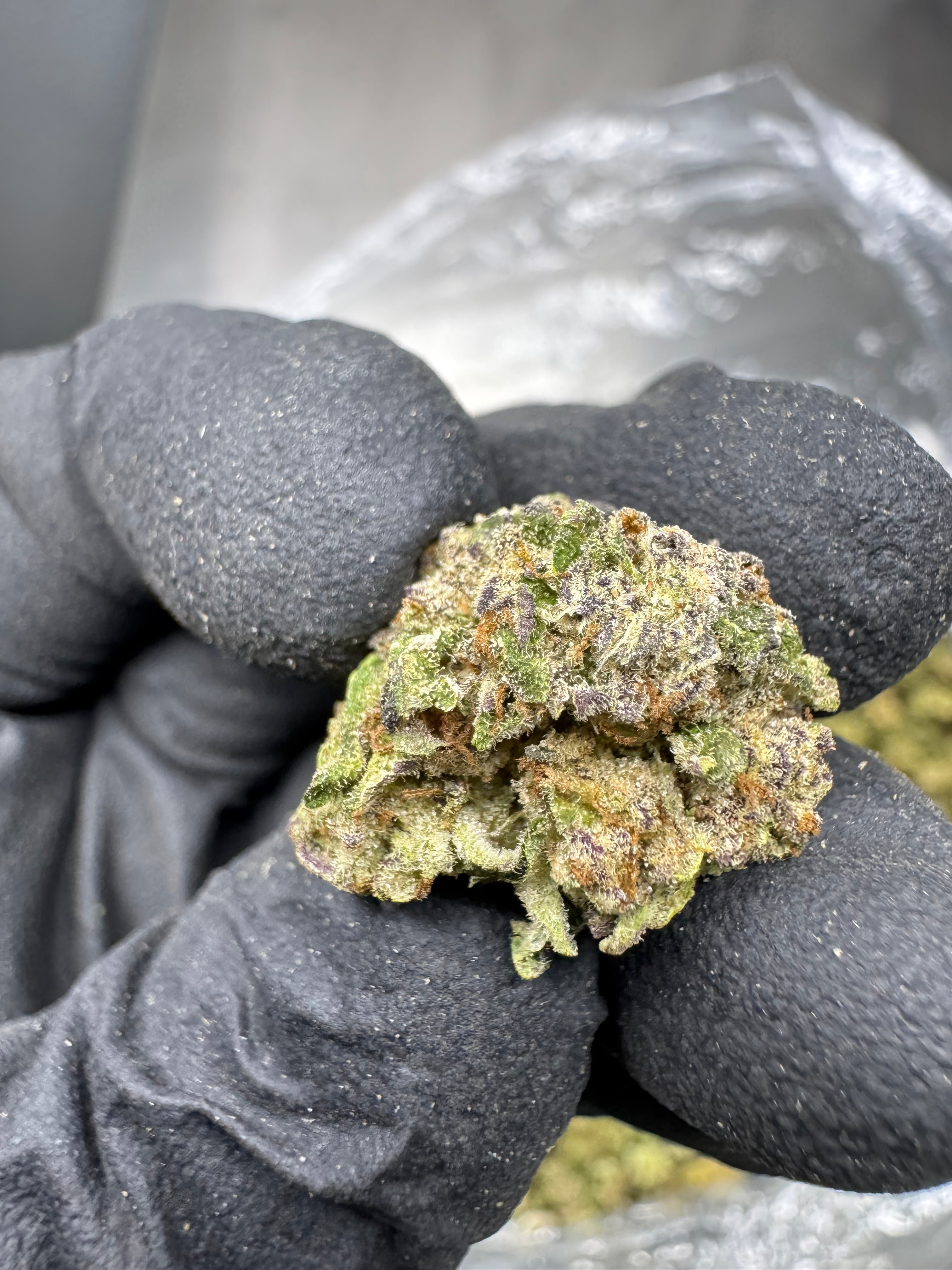 Kush Mintz - THCA BULK Flower - Sungrown Smalls