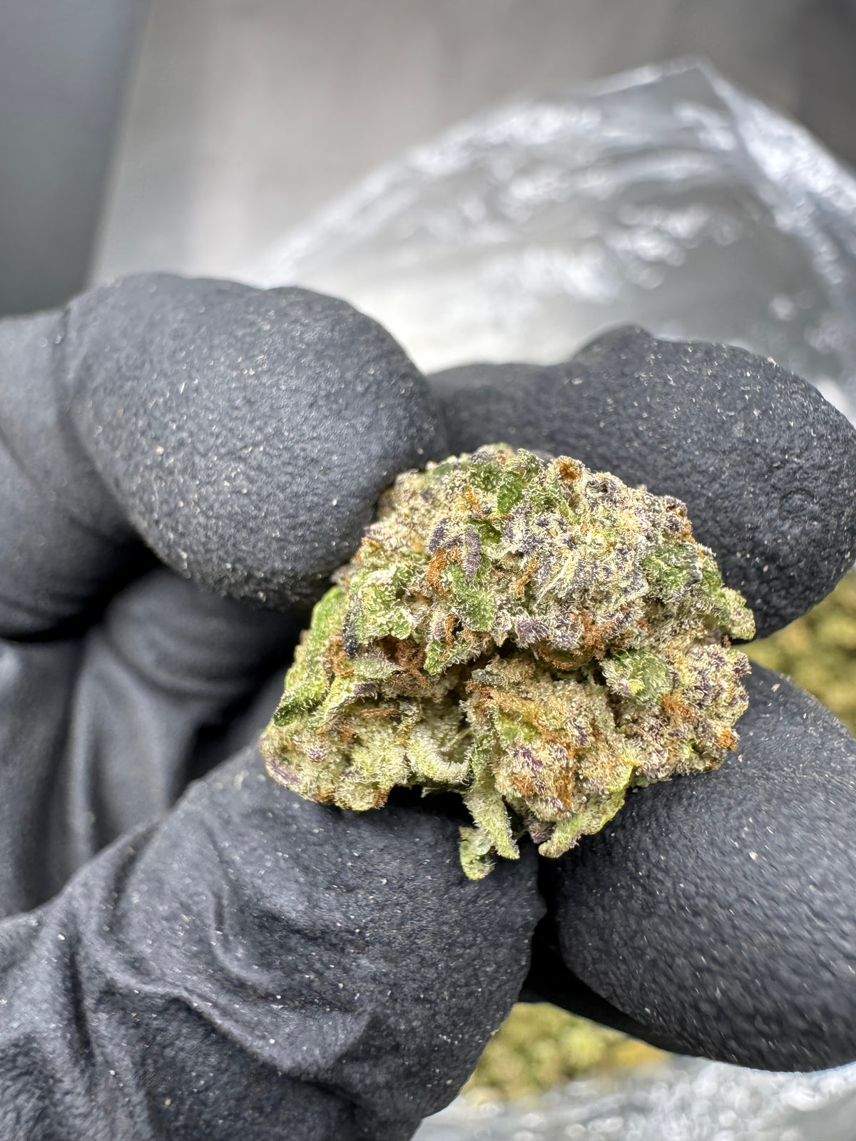 Kush Mintz - THCA BULK Flower - Sungrown Smalls