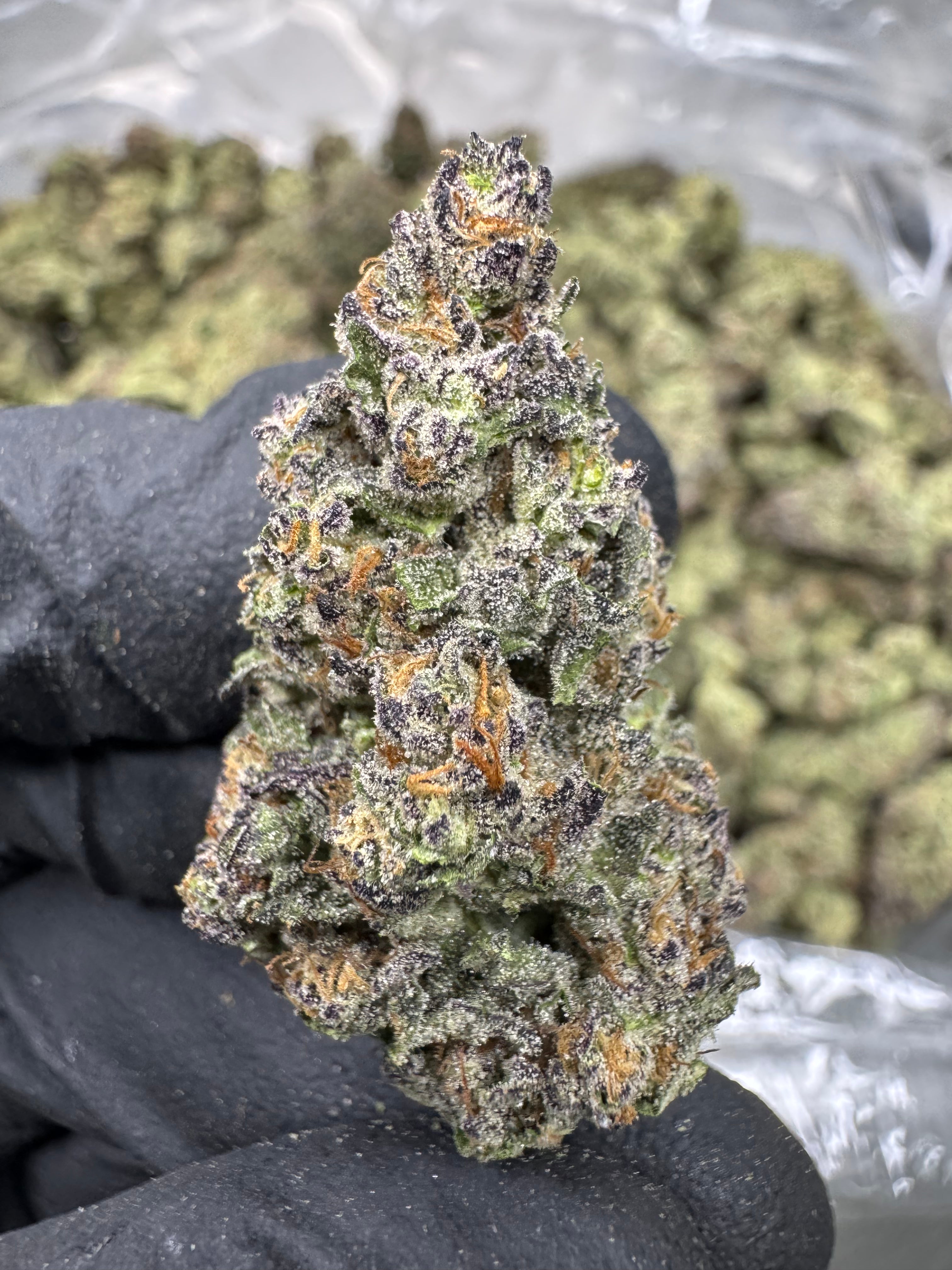 Kush Mintz - THCA BULK Flower