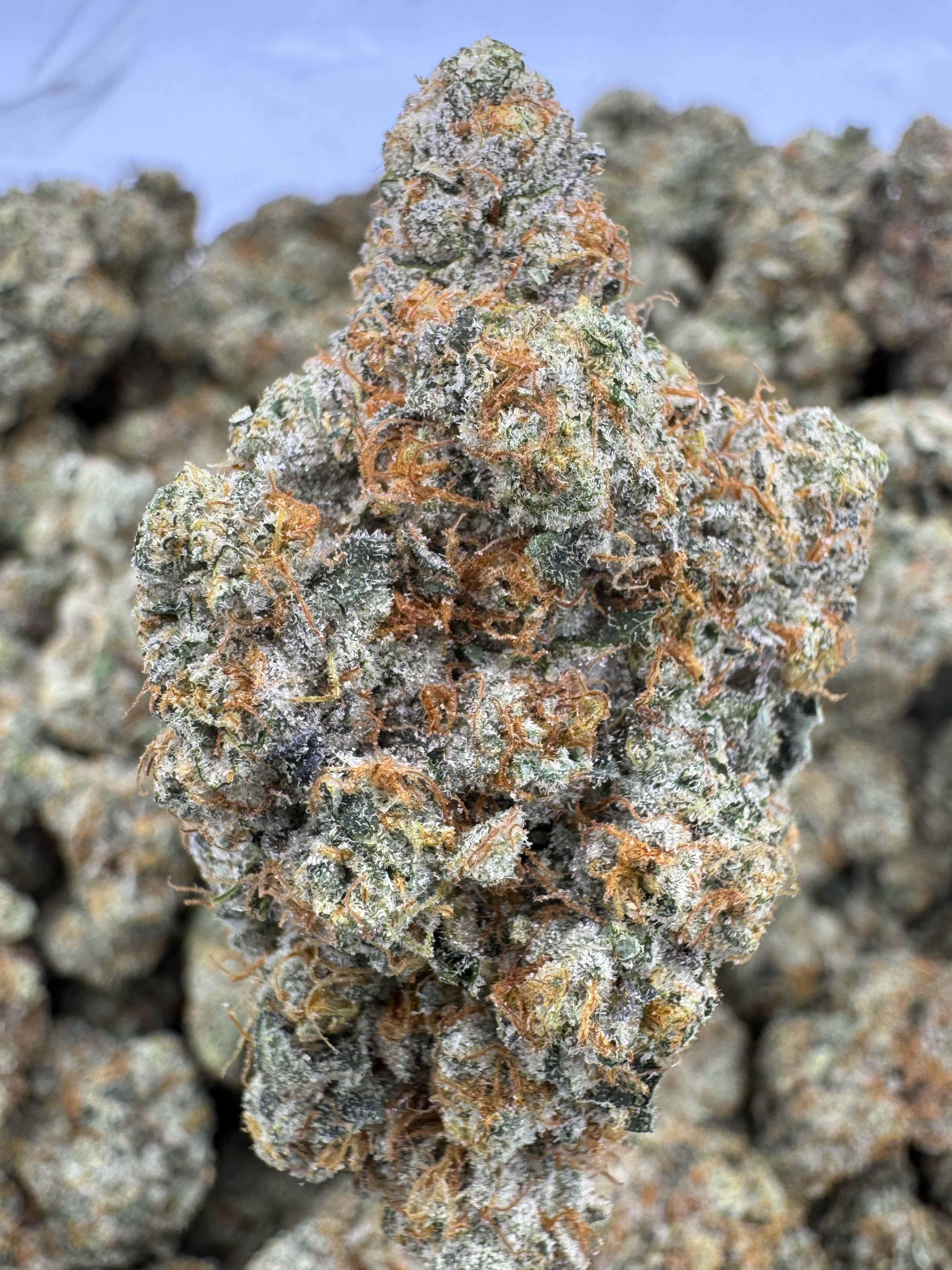 LA Kush Cake - THCA BULK Flower - Indoor Exotic