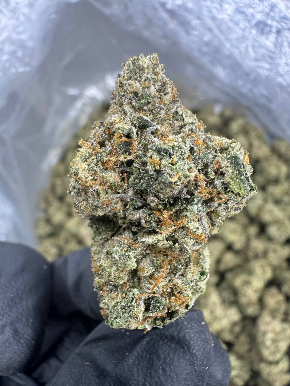 LA Kush Cake - THCA BULK FLOWER - EXOTIC INDOOR