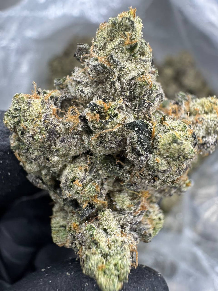 LA Runtz - THCA BULK FLOWER - EXOTIC INDOOR