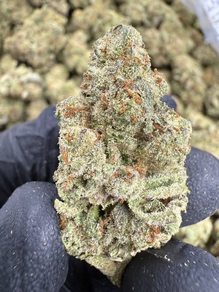 Lamb's Breath - THCA BULK FLOWER - CLASSIC RESERVE