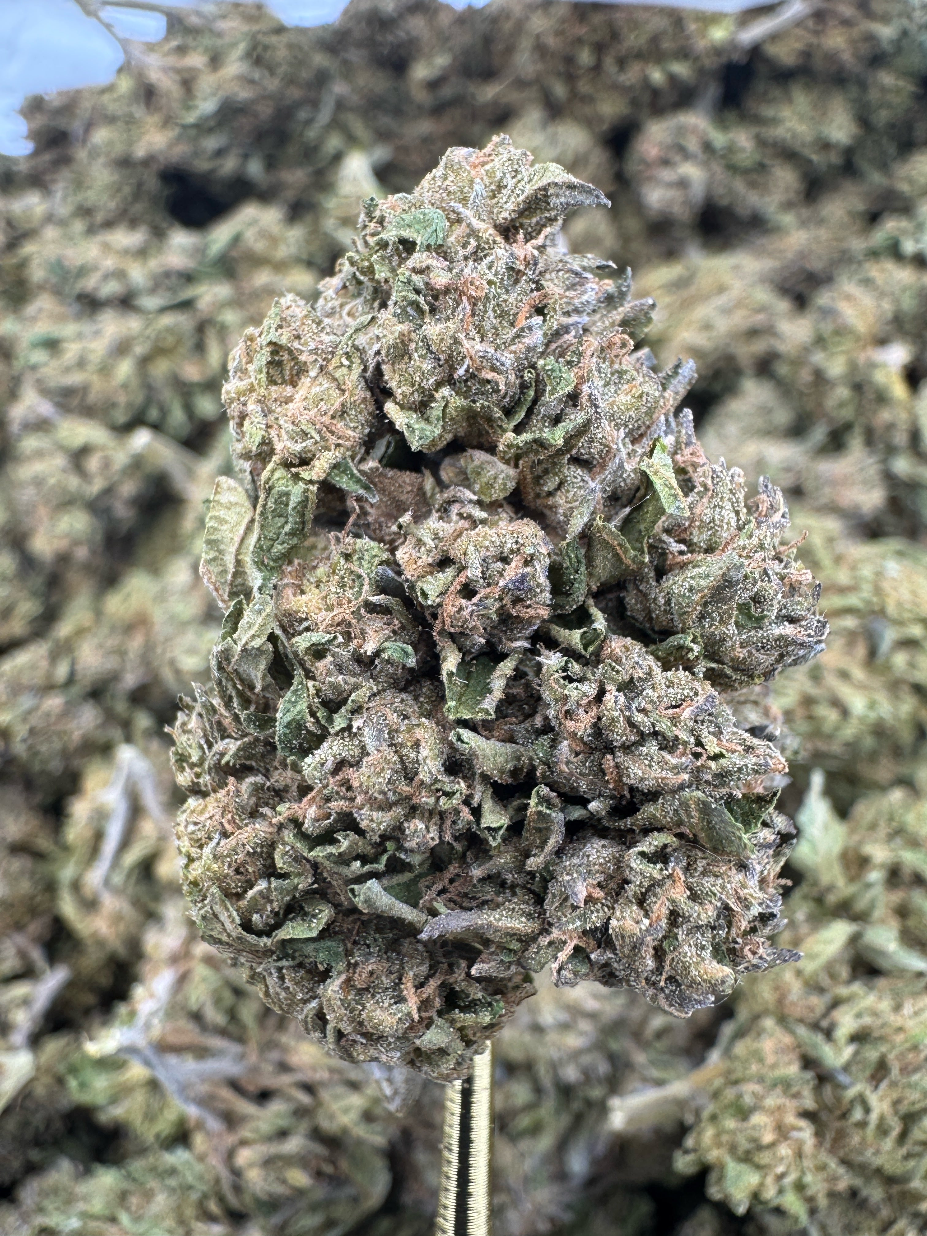 Lamb's Breath - THCA BULK Flower - Sungrown