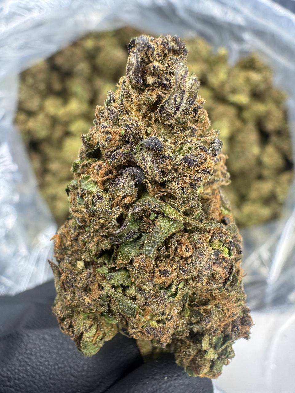 Legend Orange Apricot - THCA Flower - Sungrown Top Cut