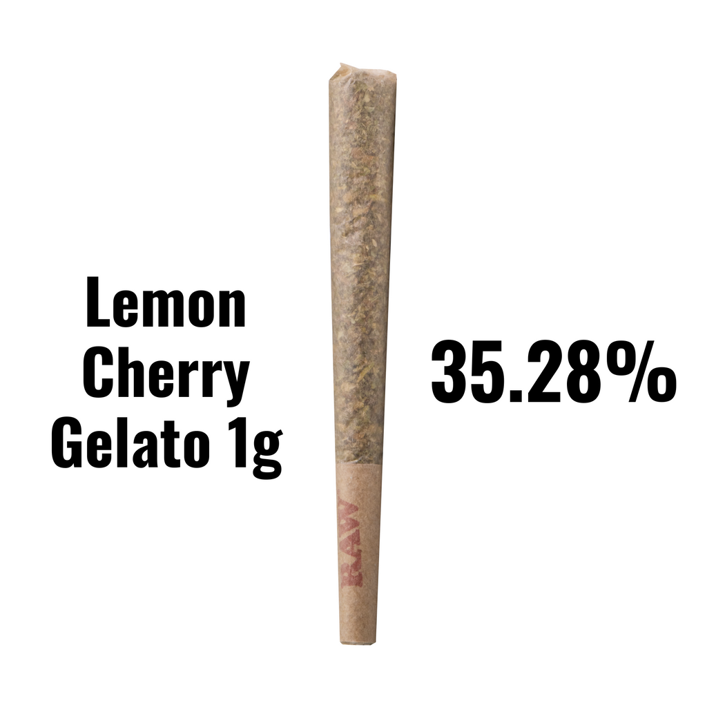 Lemon Cherry Gelato - THCA - 1g - bulk prerolls