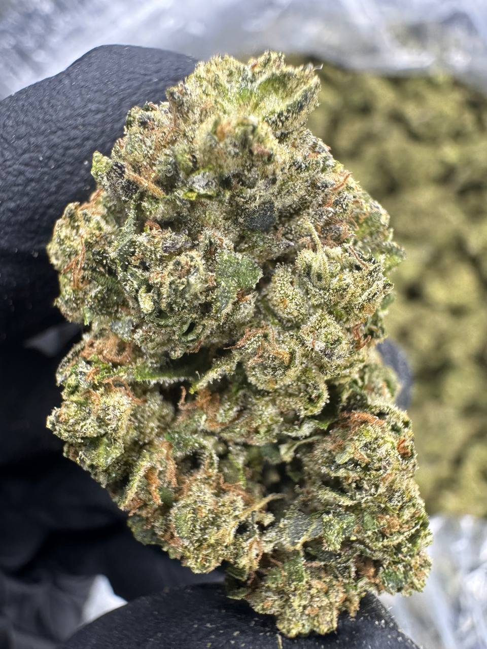 Lemon Cherry Gelato - THCA BULK Flower - Indoor