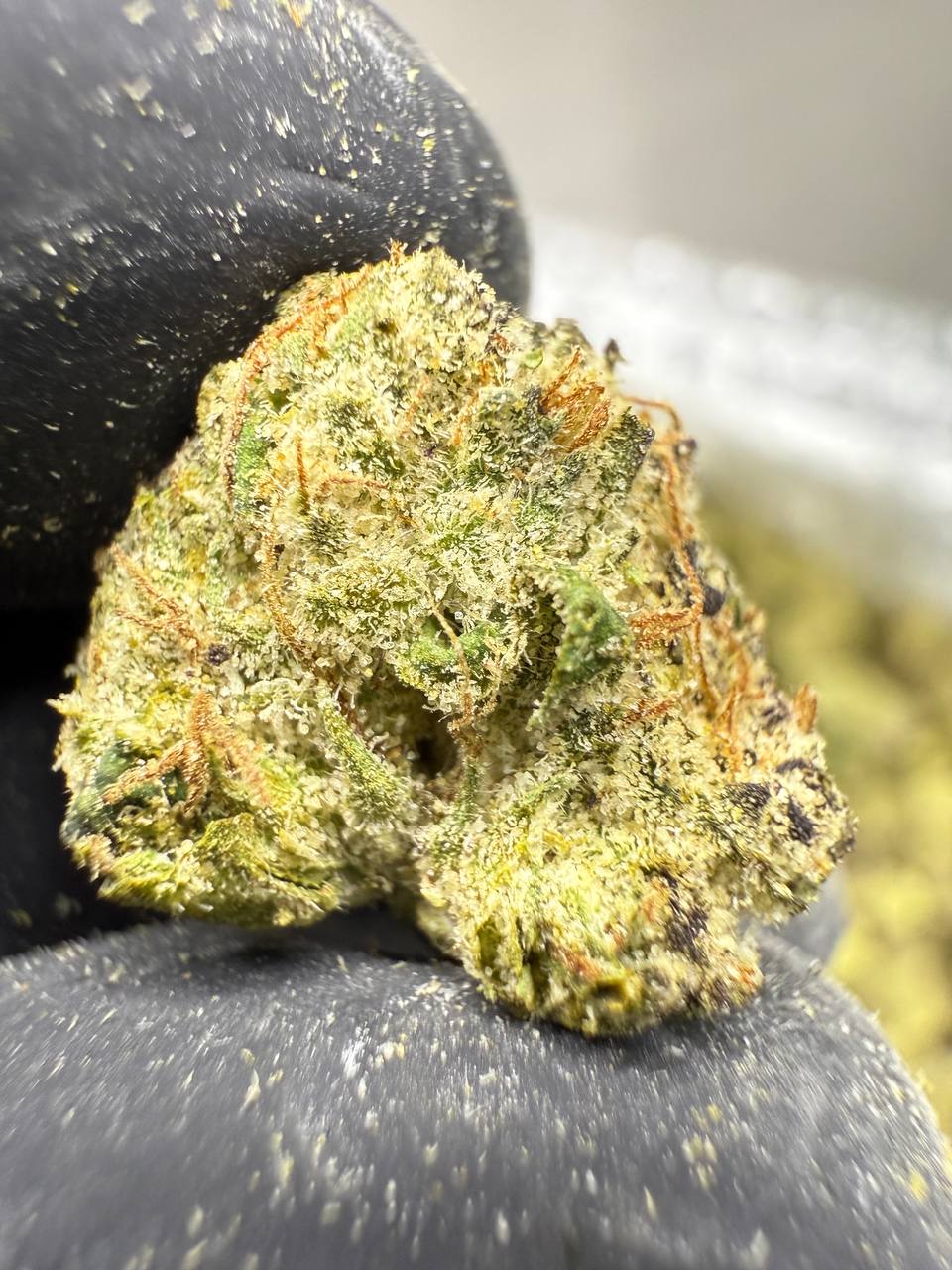 Lemon Cherry Gelato - THCA Flower - Indoor Gold Nuggets Exotic