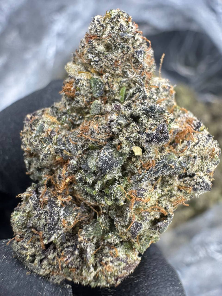 Lemon Cherry Gelato - THCA BULK FLOWER - EXOTIC INDOOR