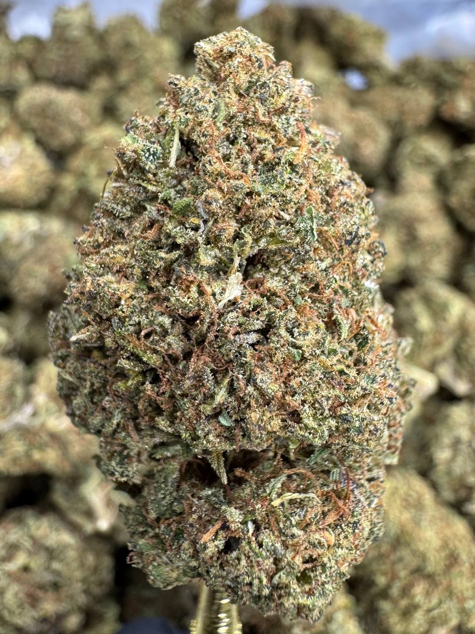 Lemon Octane - CBD BULK Flower - Sungrown