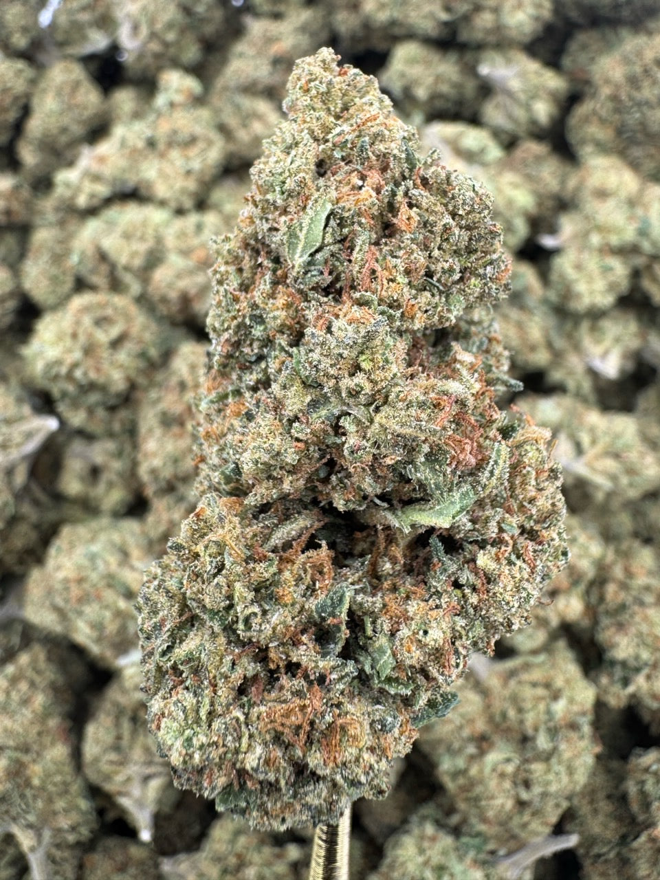 Lemon Skunk - THCA Flower - Greenhouse Top Cut