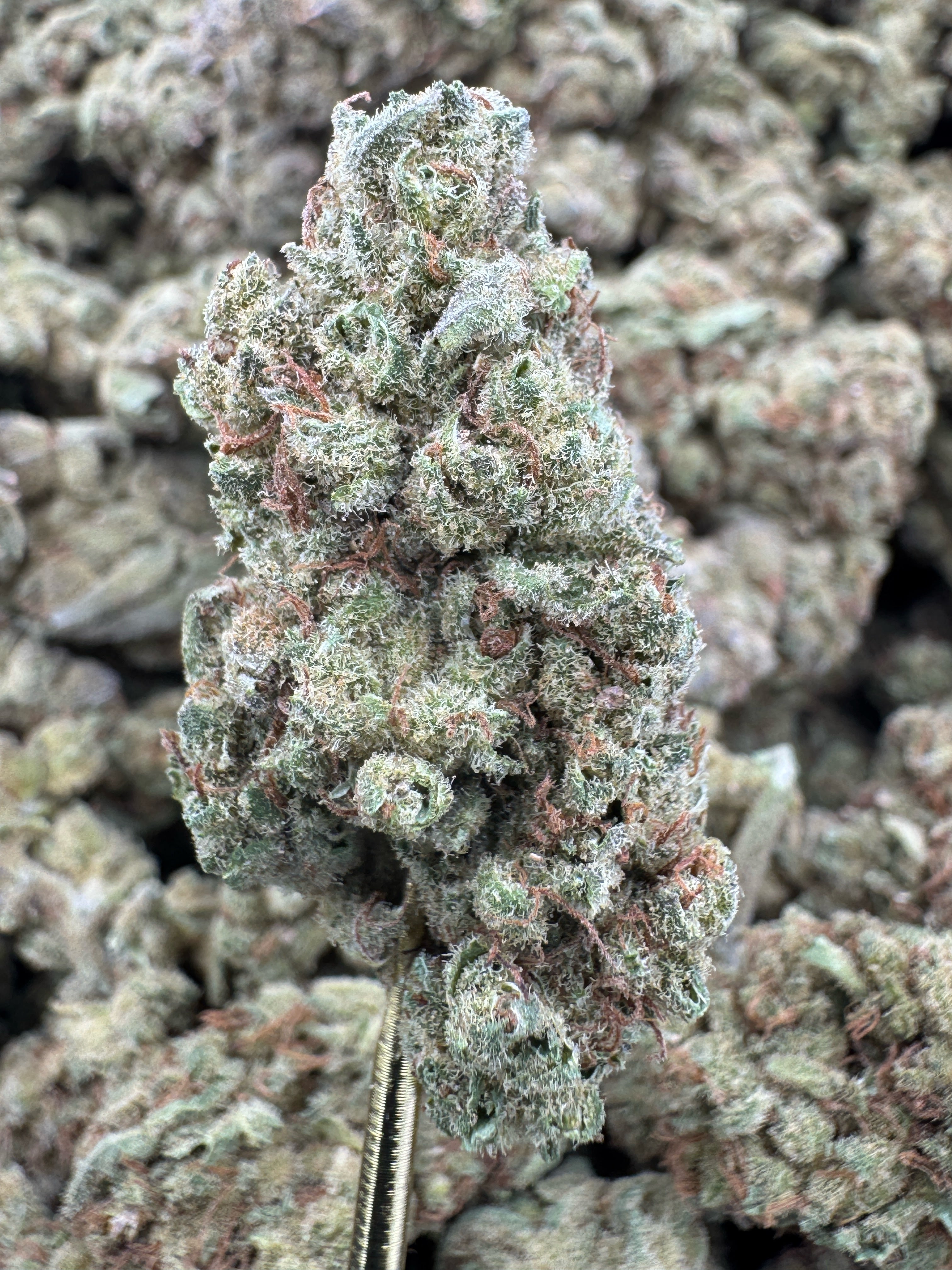 Lemon Skunk - THCA BULK Flower - Greenhouse