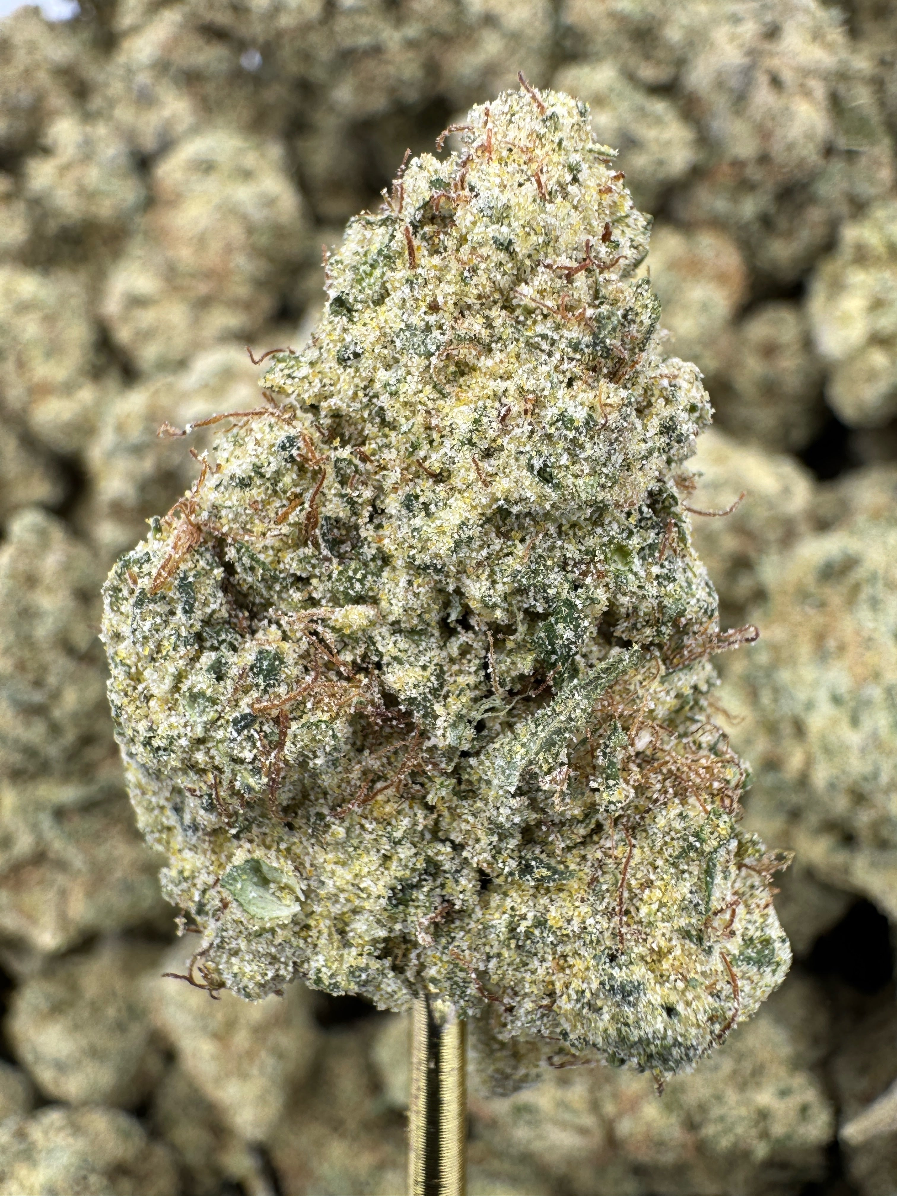 Lemonati - THCP BULK Flower - Greenhouse