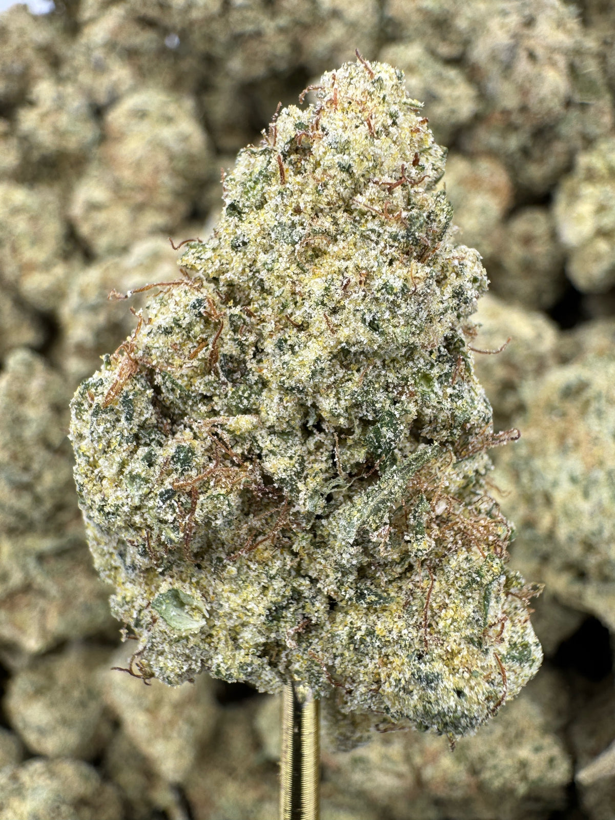 Lemonati - THCP BULK Flower - Greenhouse