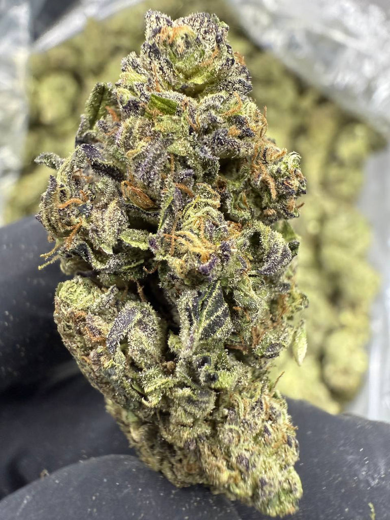 Lobster Butter - THCA BULK FLOWER - TOP SHELF