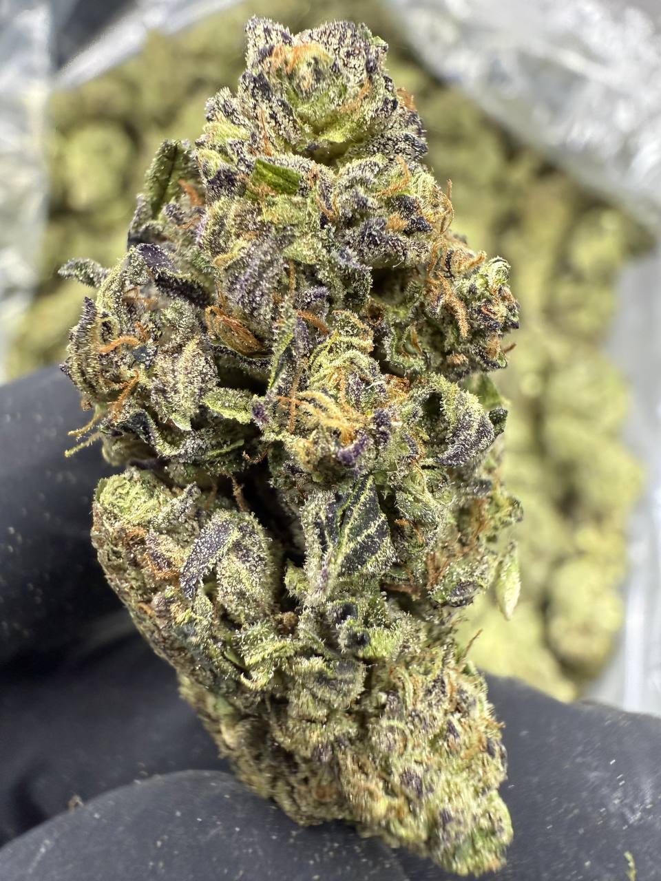 Lobster Butter - THCA BULK FLOWER - TOP SHELF