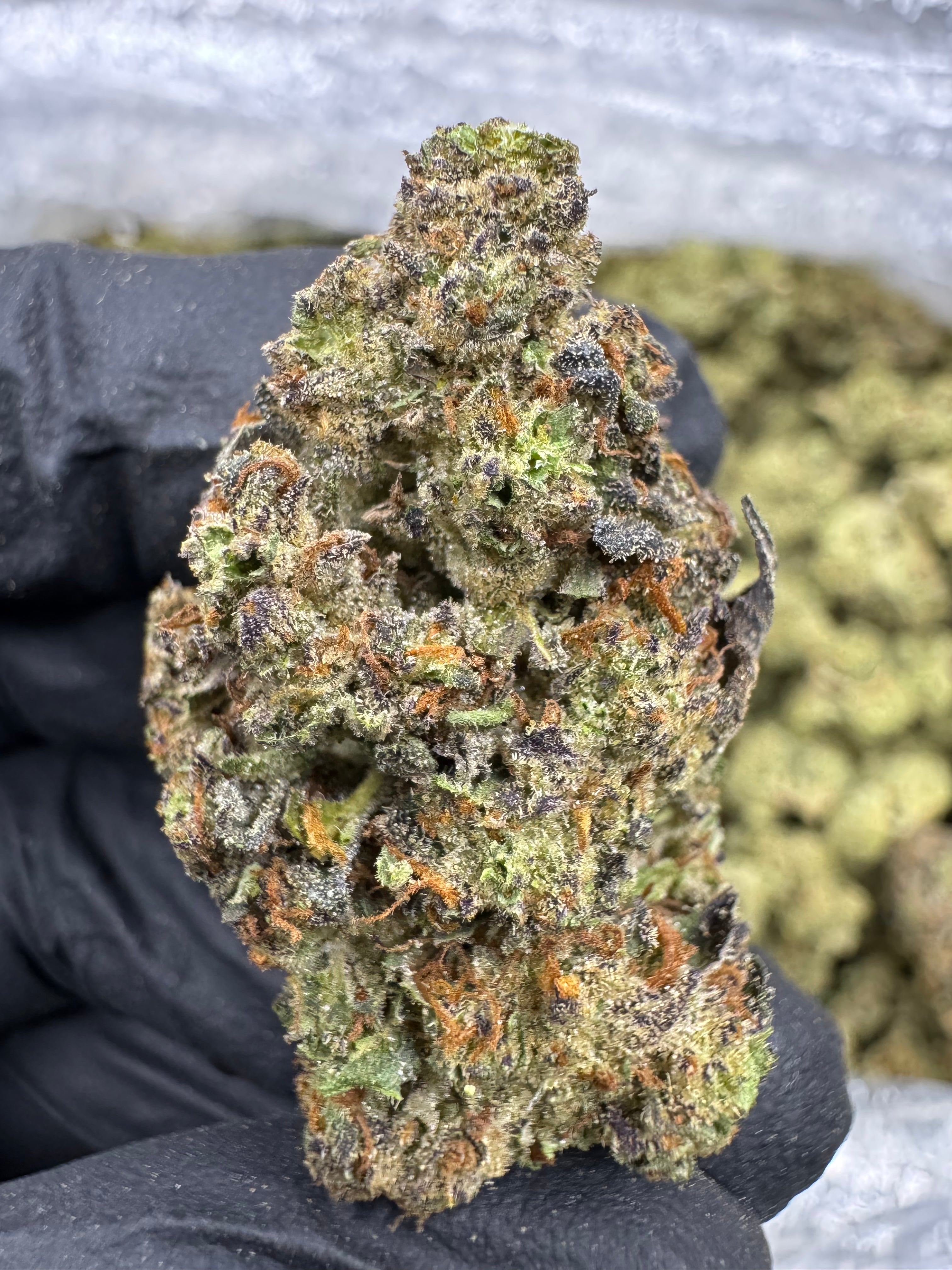 London Jelly - THCA BULK Flower - Greenhouse
