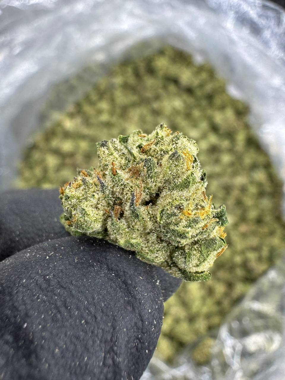 London Jelly - THCA BULK Flower - Greenhouse Smalls