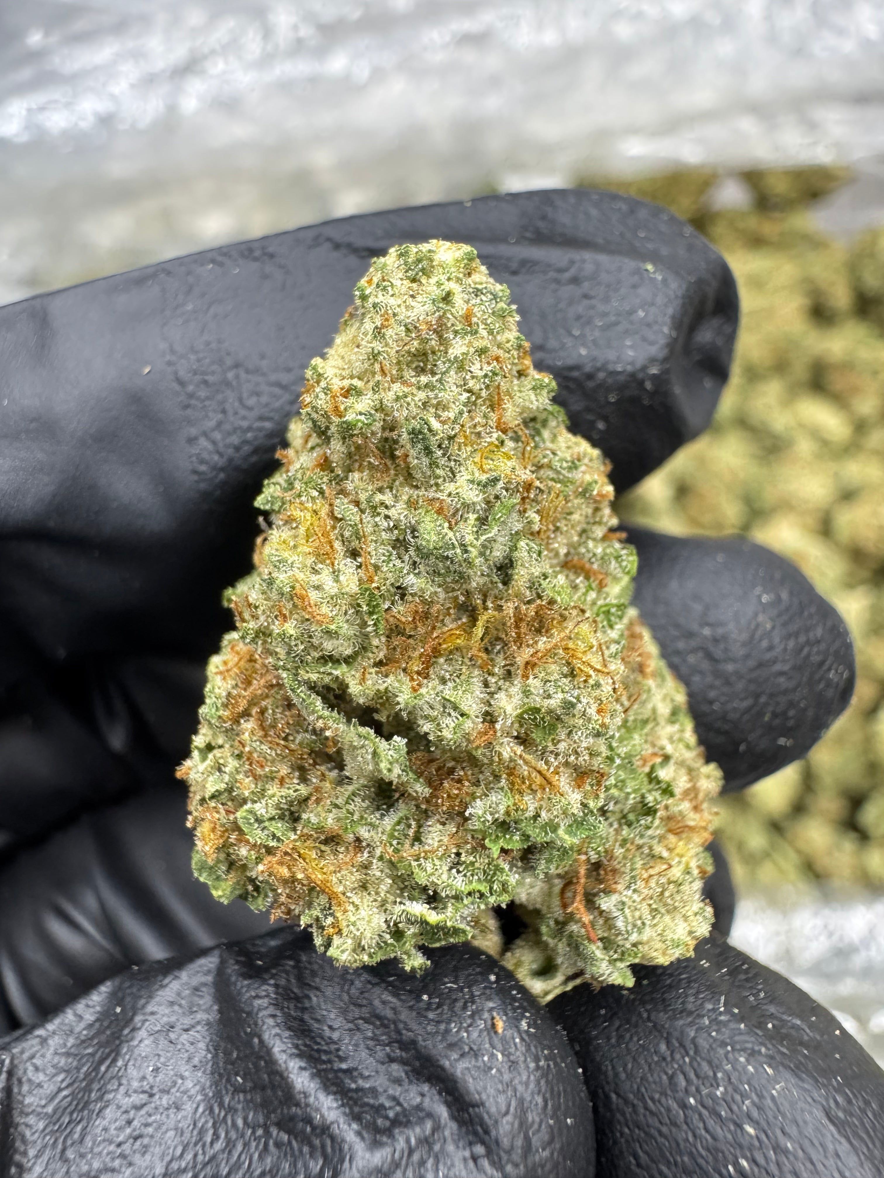 Mac 1 - THCA BULK Flower - Greenhouse