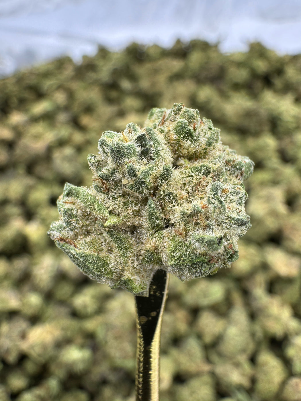 Mac - THCA BULK FLOWER - TOP SHELF SMALLS