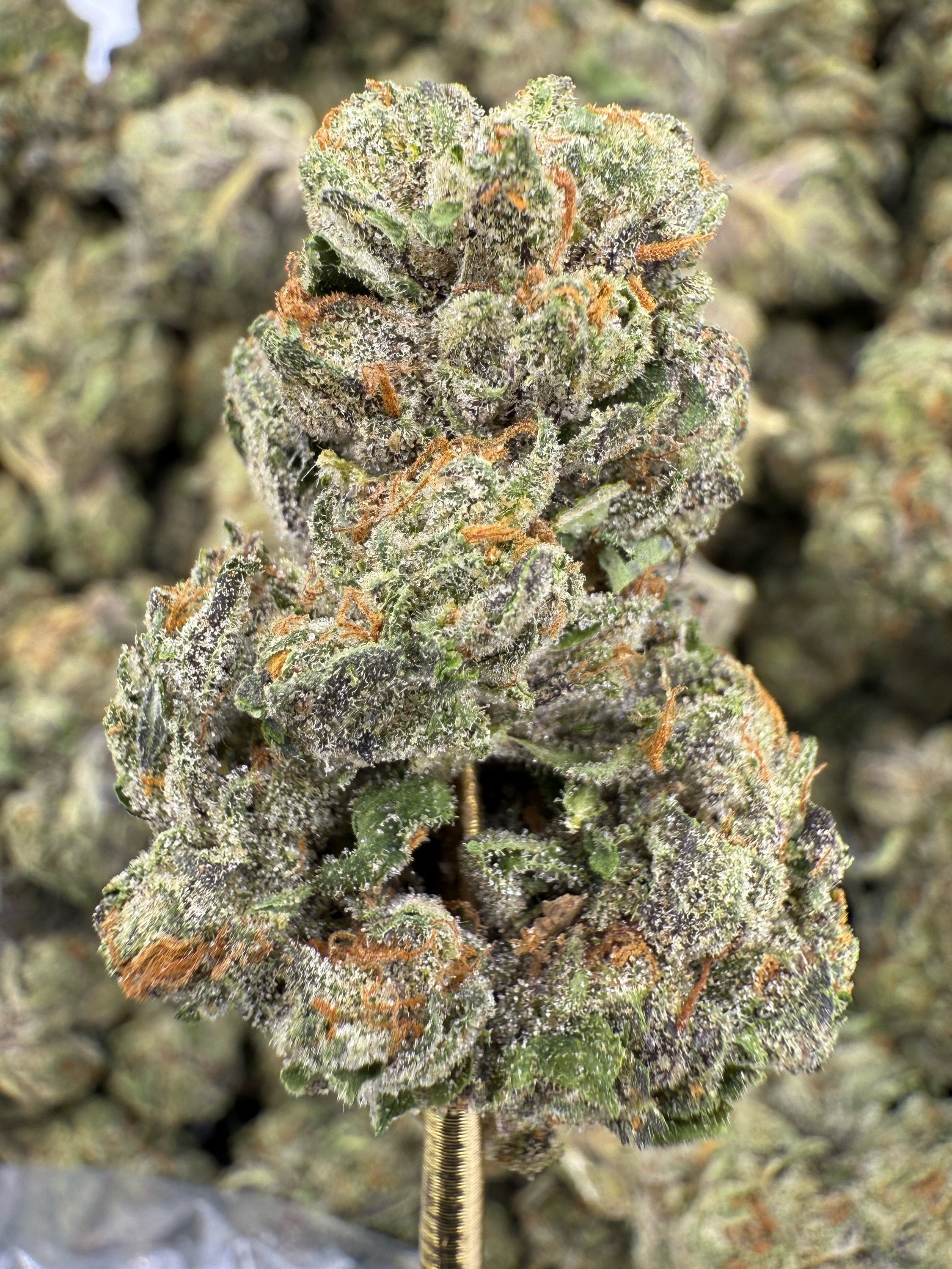 Magic Marker - THCA BULK Flower - Greenhouse