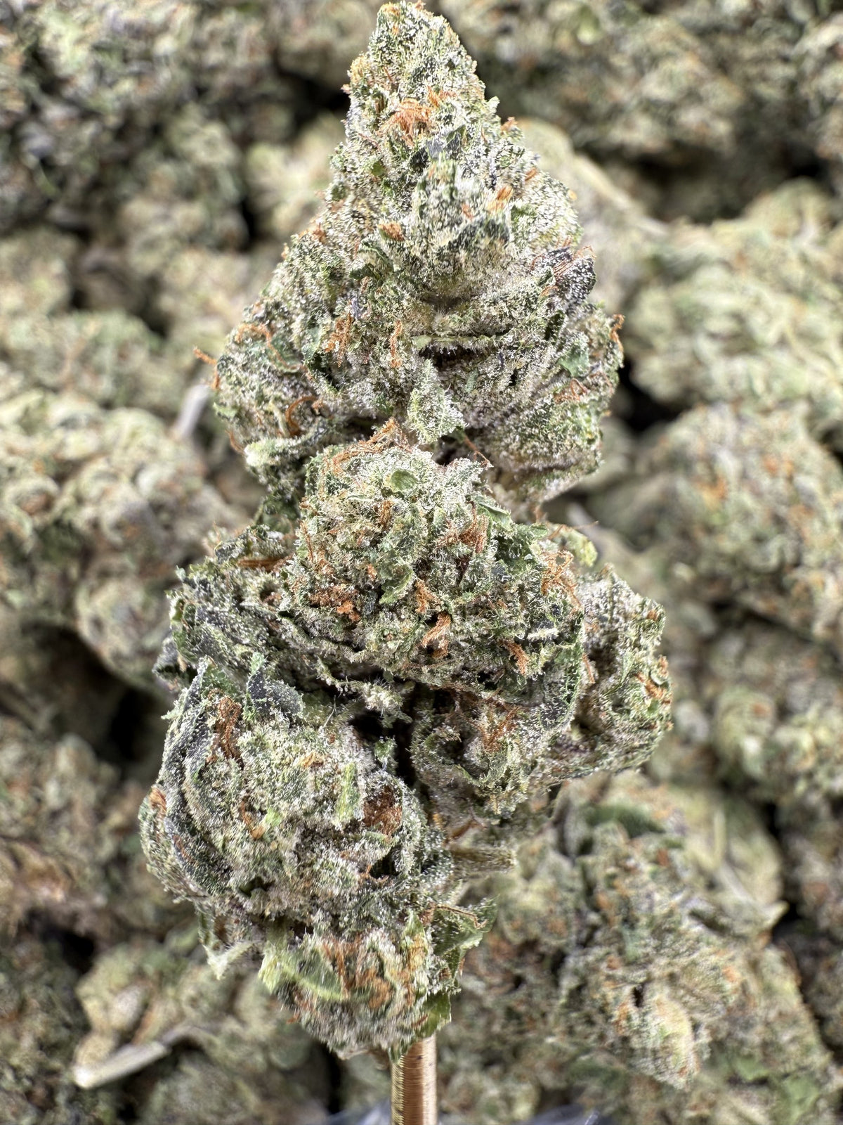 Magic Marker - THCA BULK Flower - Greenhouse