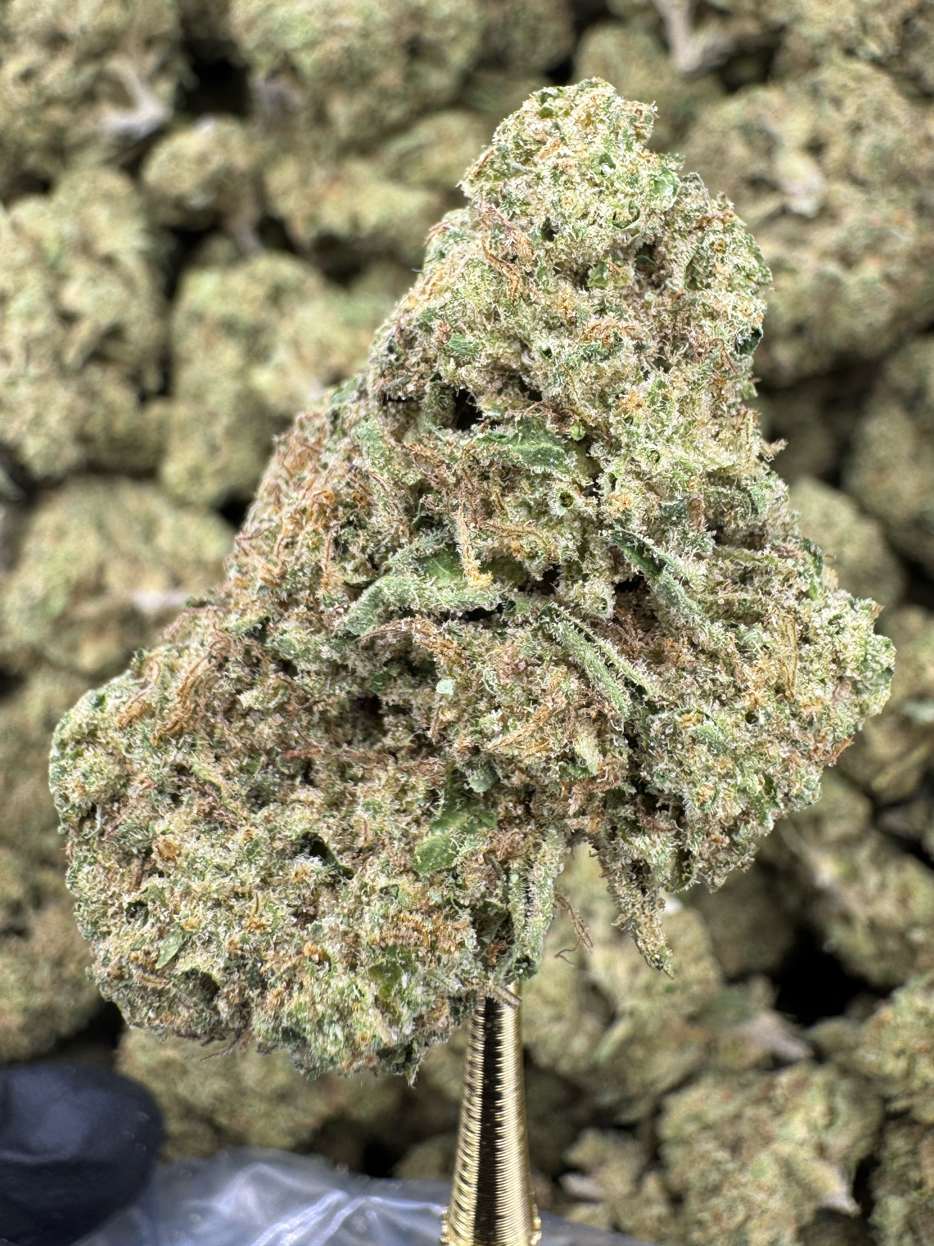 Magic Marker - THCA Flower - Greenhouse Top Cut