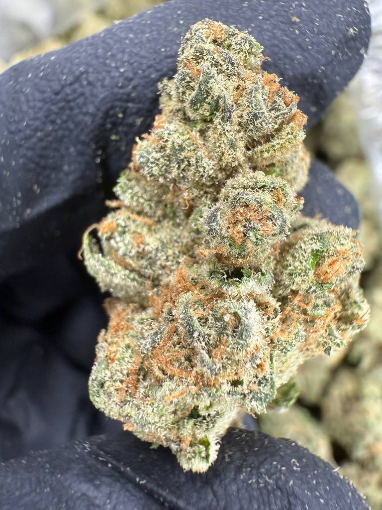 Mimosa - THCA BULK FLOWER -  AAA INDOOR