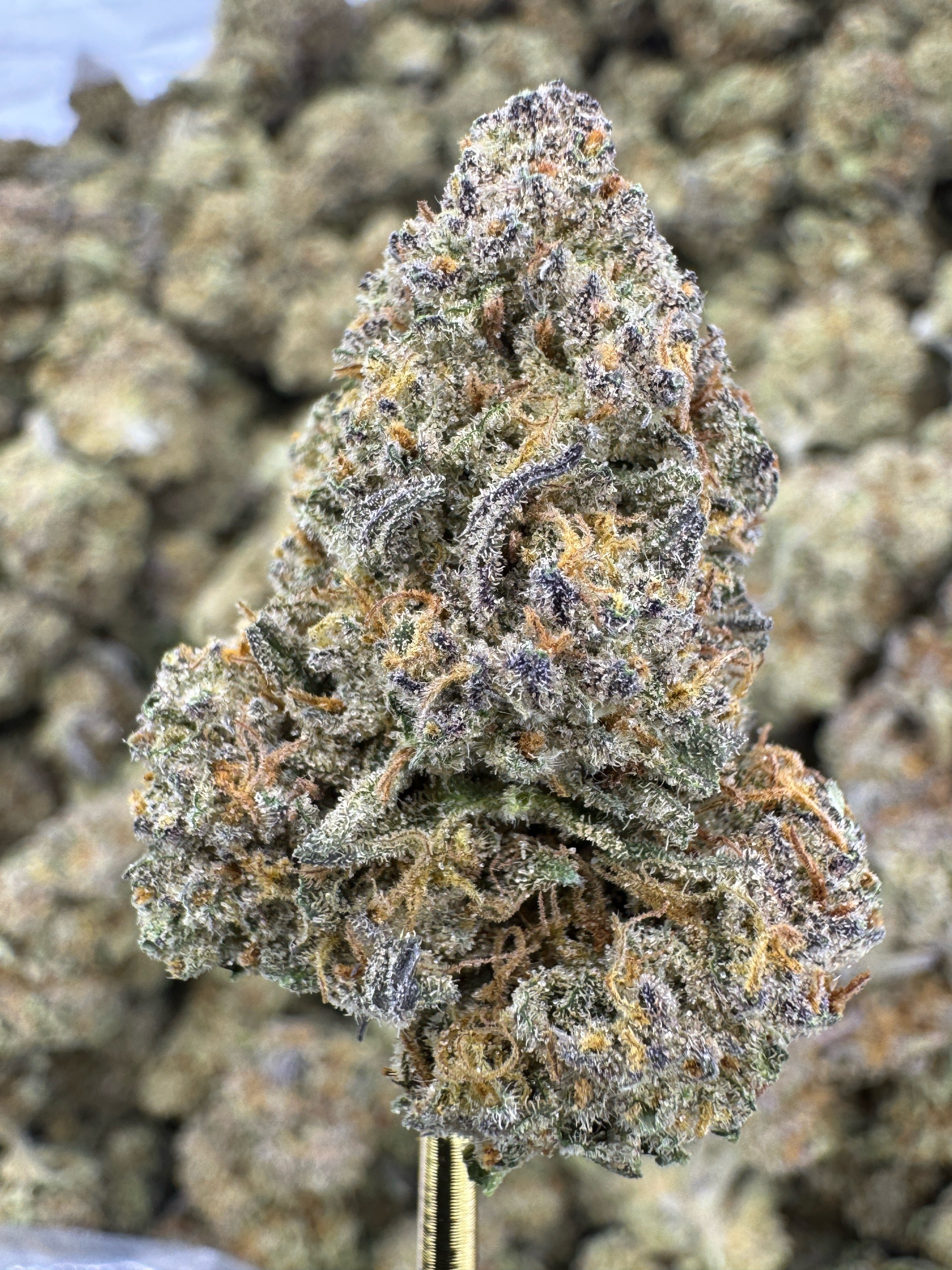 Mint Tao - THCA BULK Flower - Indoor
