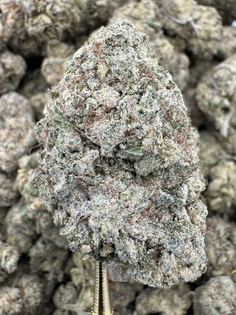 Mint Chocolate Chip - THCP BULK Flower - Greenhouse