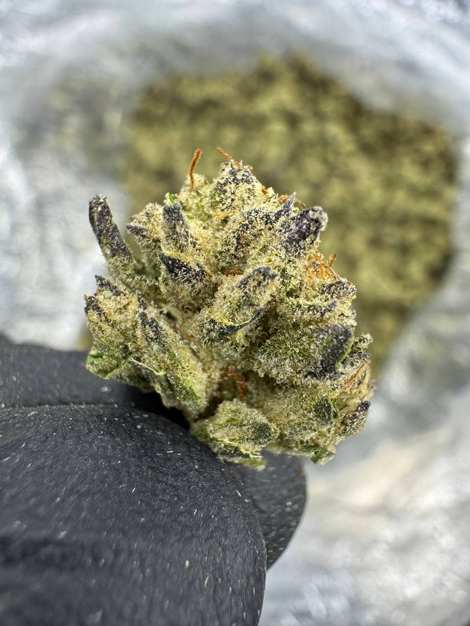 Mint Tao - THCA BULK Flower - Greenhouse Smalls